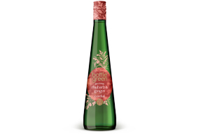 Bottlegreen - Cordial - Rhubarb & Ginger - 6x50Cl