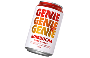 Genie Can - Kombucha Fiery Ginger - 24x330ml