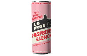 Lo Bros Kombucha Can - Low Sugar - Raspberry & Lemon - 12x250ml