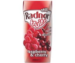 Radnor Fruits Still - Tetra -  Raspberry & Cherry - 24x200ml