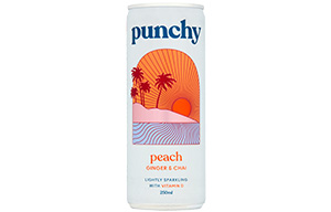 Punchy Soft Punch - Peach, Ginger & Chai Spice - 24x250ml
