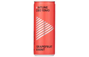 INTUNE - CBD Sparkling Drink - Grapefruit & Mint - 12x250ml