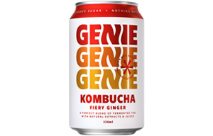 Genie Kombucha - Can - Fiery Ginger - 12x330ml